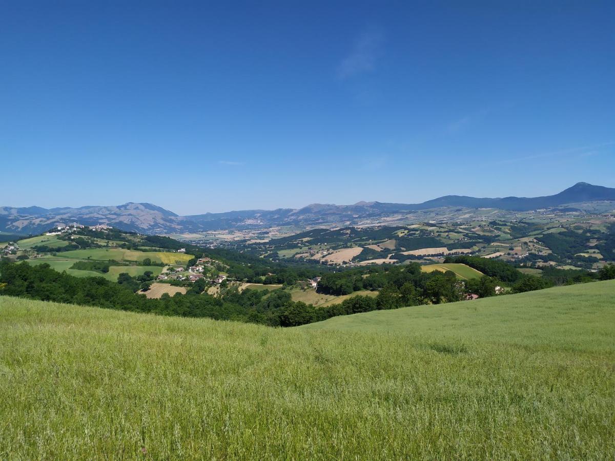 All Inbasilicata Bed & Breakfast Baragiano Extérieur photo